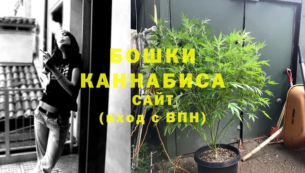 гашик Богородск
