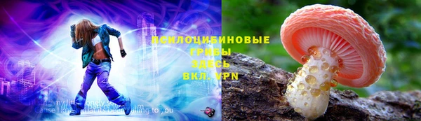 стафф Богородицк