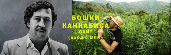 ALPHA PVP Белокуриха